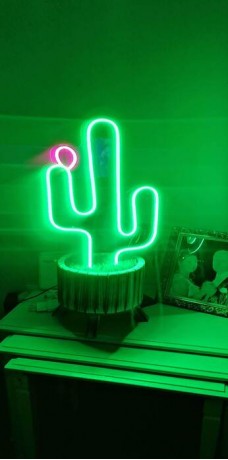 Neon Kaktüs