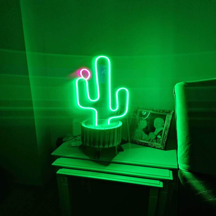 Neon Kaktüs